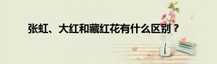 张虹、大红和藏红花有什么区别?