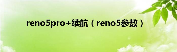 reno5pro+续航(reno5参数)
