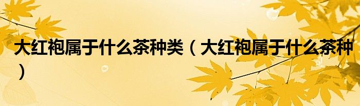 大红袍属于什么茶种类(大红袍属于什么茶种)