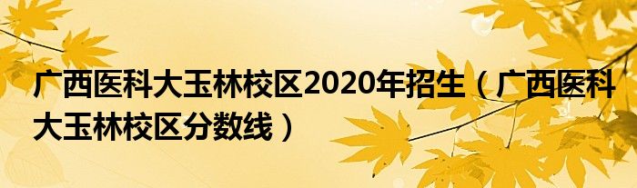 广西医科大玉林校区2020年招生(广西医科大玉林校区分数线)