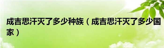 成吉思汗灭了多少种族(成吉思汗灭了多少国家)