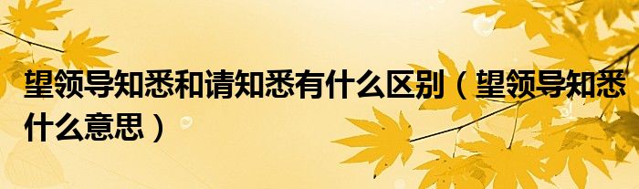 望领导知悉和请知悉有什么区别(望领导知悉什么意思)