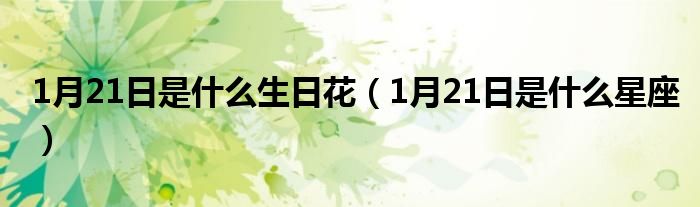 1月21日是什么生日花(1月21日是什么星座)