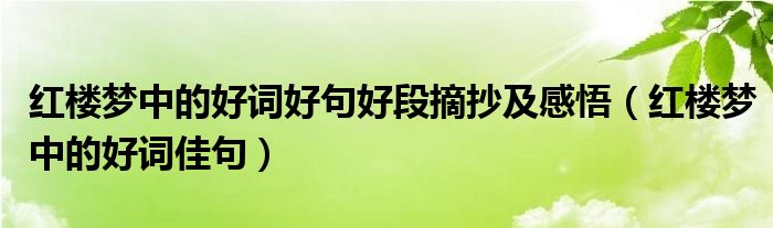 红楼梦中的好词好句好段摘抄及感悟(红楼梦中的好词佳句)