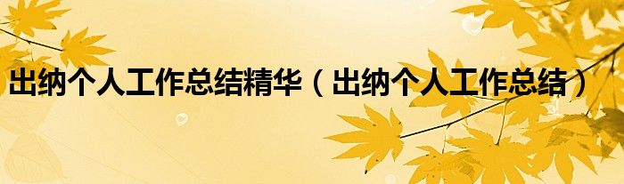 出纳个人工作总结精华(出纳个人工作总结)
