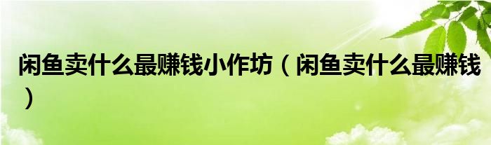 闲鱼卖什么最赚钱小作坊(闲鱼卖什么最赚钱)