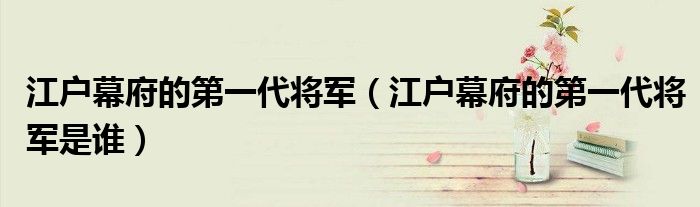 江户幕府的第一代将军(江户幕府的第一代将军是谁)