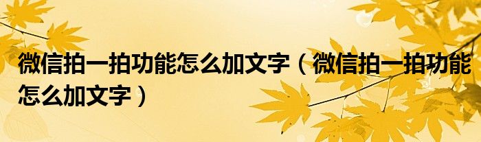 微信拍一拍功能怎么加文字(微信拍一拍功能怎么加文字)