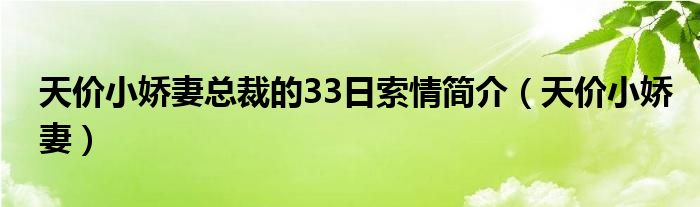 天价小娇妻总裁的33日索情简介(天价小娇妻)