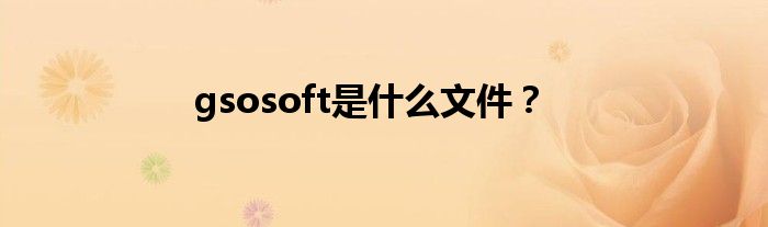 gsosoft是什么文件?