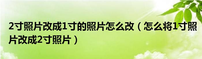 2寸照片改成1寸的照片怎么改(怎么将1寸照片改成2寸照片)