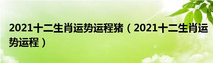 2021十二生肖运势运程猪(2021十二生肖运势运程)