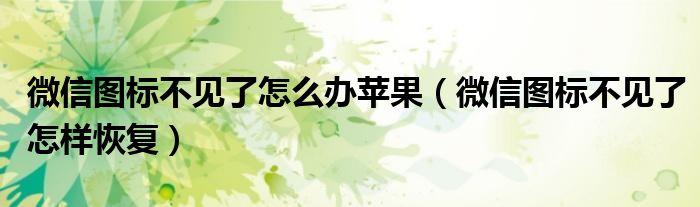 微信图标不见了怎么办苹果(微信图标不见了怎样恢复)