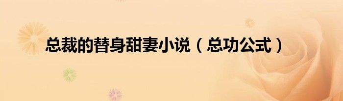 总裁的替身甜妻小说（总功公式）