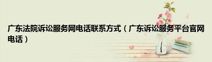 广东法院诉讼服务网电话联系方式(广东诉讼服务平台官网电话)