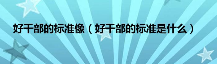 好干部的标准像(好干部的标准是什么)