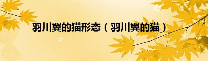 羽川翼的猫形态(羽川翼的猫)