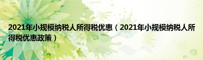 2021年小规模纳税人所得税优惠(2021年小规模纳税人所得税优惠政策)