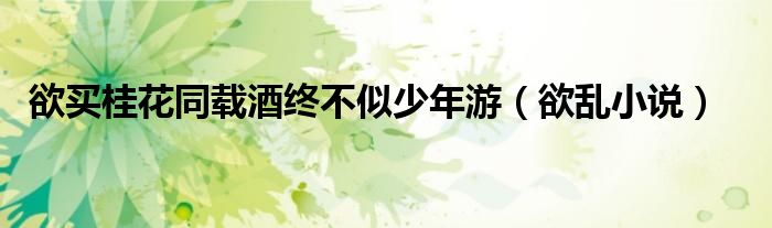 欲买桂花同载酒终不似少年游(欲乱小说)