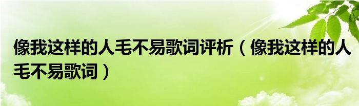 像我这样的人毛不易歌词评析（像我这样的人毛不易歌词）