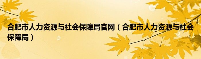 合肥市人力资源与社会保障局官网(合肥市人力资源与社会保障局)