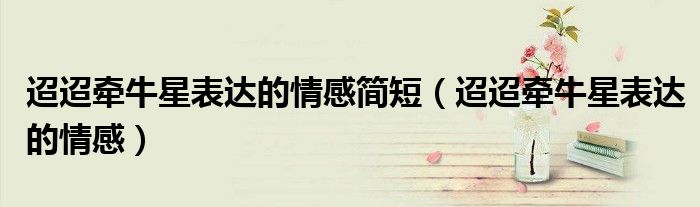 迢迢牵牛星表达的情感简短(迢迢牵牛星表达的情感)
