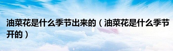 油菜花是什么季节出来的(油菜花是什么季节开的)