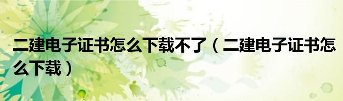 二建电子证书怎么下载不了(二建电子证书怎么下载)