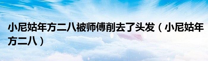 小尼姑年方二八被师傅削去了头发(小尼姑年方二八)
