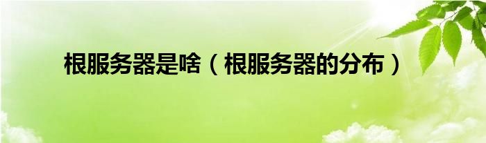 根服务器是啥(根服务器的分布)