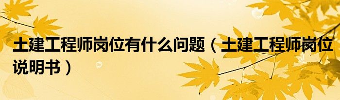 土建工程师岗位有什么问题(土建工程师岗位说明书)
