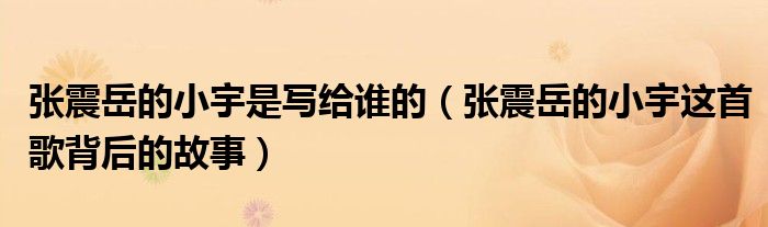 张震岳的小宇是写给谁的(张震岳的小宇这首歌背后的故事)