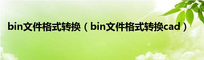 bin文件格式转换(bin文件格式转换cad)