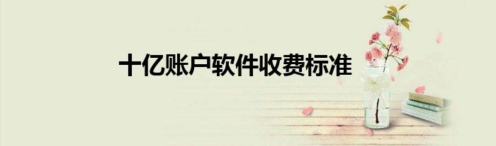 十亿账户软件收费标准
