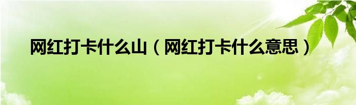 网红打卡什么山(网红打卡什么意思)