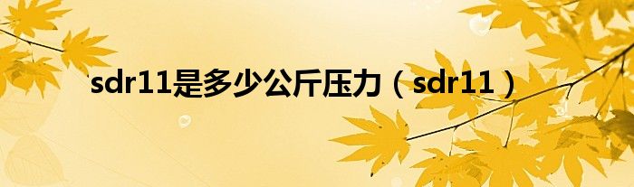 sdr11是多少公斤压力(sdr11)
