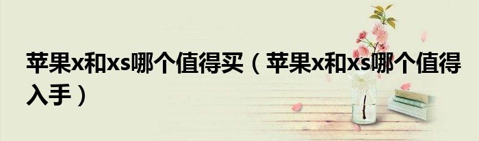苹果x和xs哪个值得买（苹果x和xs哪个值得入手）