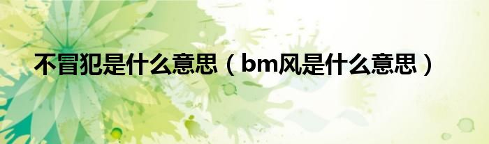不冒犯是什么意思（bm风是什么意思）
