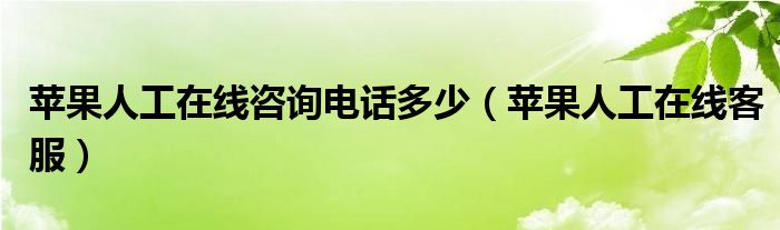 苹果人工在线咨询电话多少(苹果人工在线客服)
