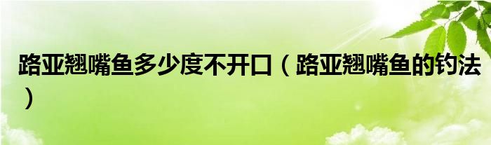 路亚翘嘴鱼多少度不开口(路亚翘嘴鱼的钓法)