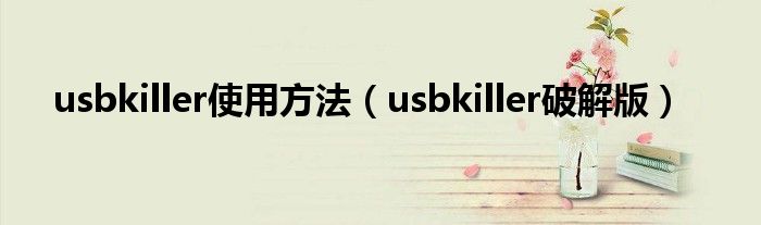 usbkiller使用方法(usbkiller破解版)