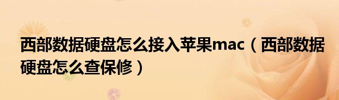 西部数据硬盘怎么接入苹果mac(西部数据硬盘怎么查保修)