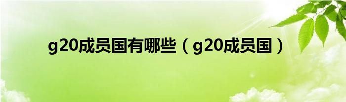 g20成员国有哪些(g20成员国)