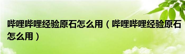 哔哩哔哩经验原石怎么用(哔哩哔哩经验原石怎么用)
