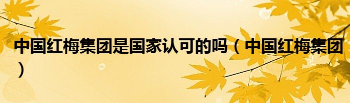 中国红梅集团是国家认可的吗(中国红梅集团)