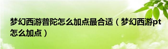 梦幻西游普陀怎么加点最合适(梦幻西游pt怎么加点)