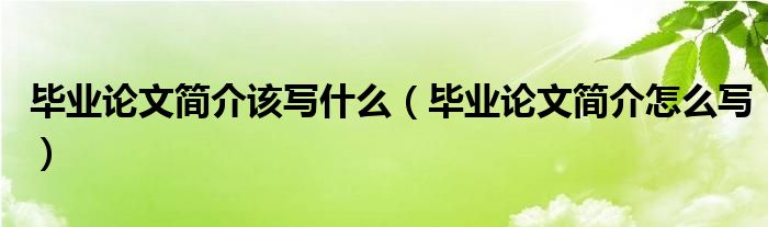 毕业论文简介该写什么(毕业论文简介怎么写)