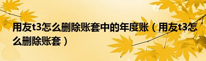 用友t3怎么删除账套中的年度账(用友t3怎么删除账套)