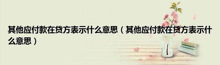 其他应付款在贷方表示什么意思(其他应付款在贷方表示什么意思)