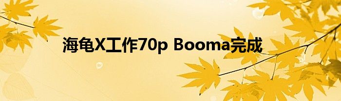 海龟X工作70p Booma完成